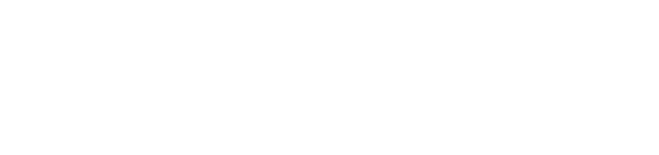 Bassetlaw Labour Party